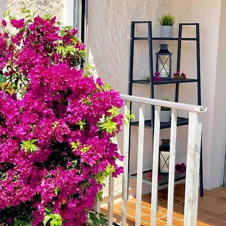 2 Min De La Plage, Parking, Terrasse & Wifi! * Six-Fours-les-Plages